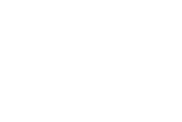 Open Road Consulting